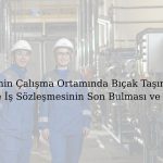 Paragraf metniniz 11 Gaziantep